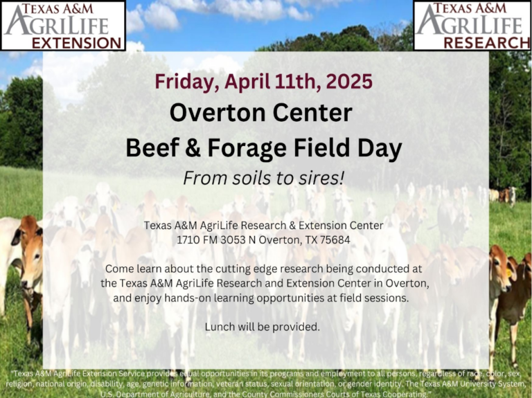 2025 beef field day