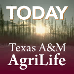 Wes Moorehead named deputy director for Texas A&M Forest Service