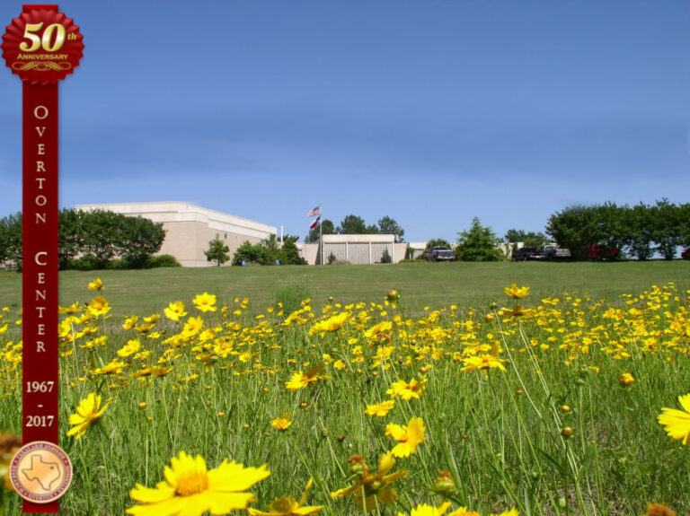 building-w-coreo-and-50th-banner-1024×766